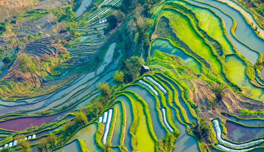 宝妈必备神器：亭湖区产品视频拍摄轻松育儿好帮手