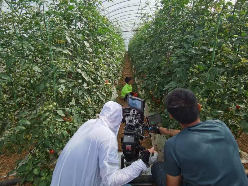 亭湖区产品宣传视频拍摄公司进阶指南，助力品牌抢占传播高地